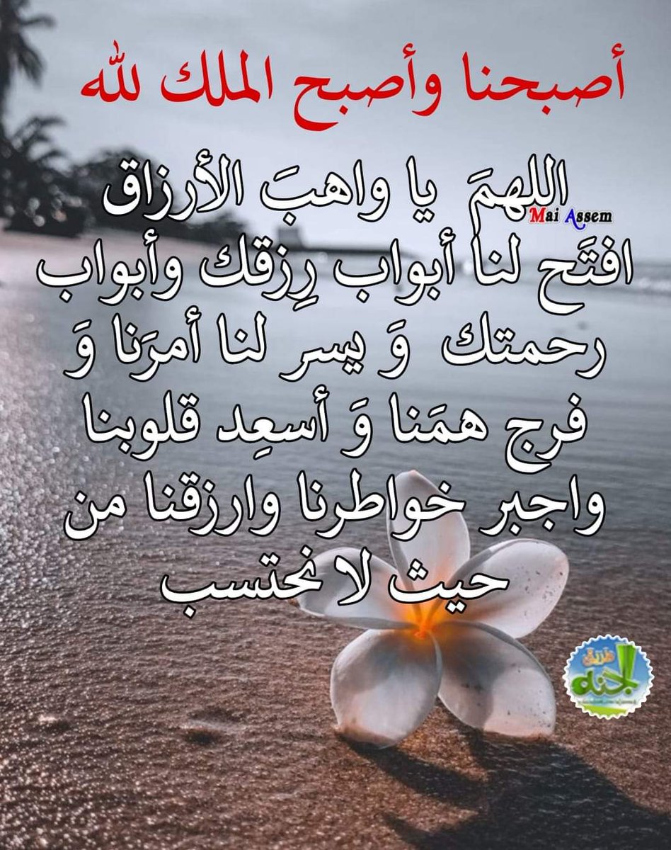 Mohsen Elfouly (@mohsenelfoly4) on Twitter photo 