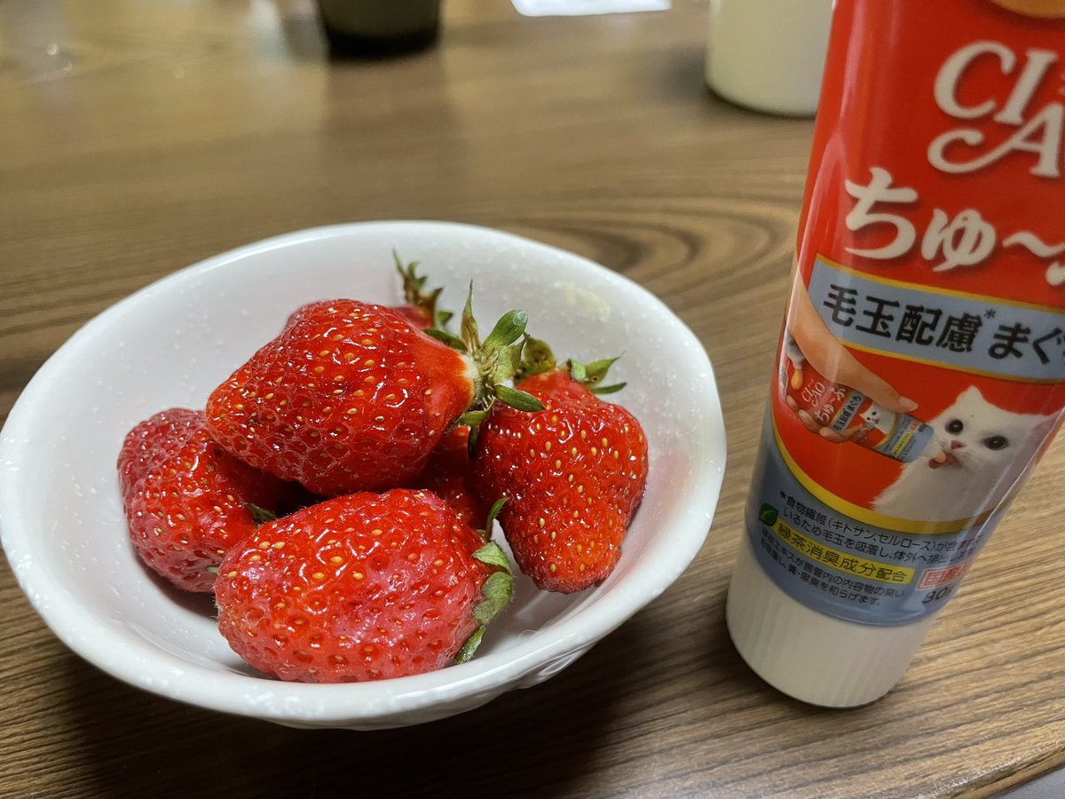 専用1104 いちご狩りいくわよ(ꕤ ॑꒳ ॑*)ノ♡ ママ~♡♡ミルク持っ