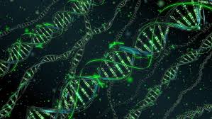MiningGenome's tweet photo. Solving the puzzle of complex genomes! Accurately resolving diploid or polyploid genome sequences is a current challenge in plant genomics. Explore the strategies discussed in this informative article: https://t.co/v6wSQXLnp2 #ComplexGenomes #GenomeSequencing https://t.co/FwuwaUjZ4K