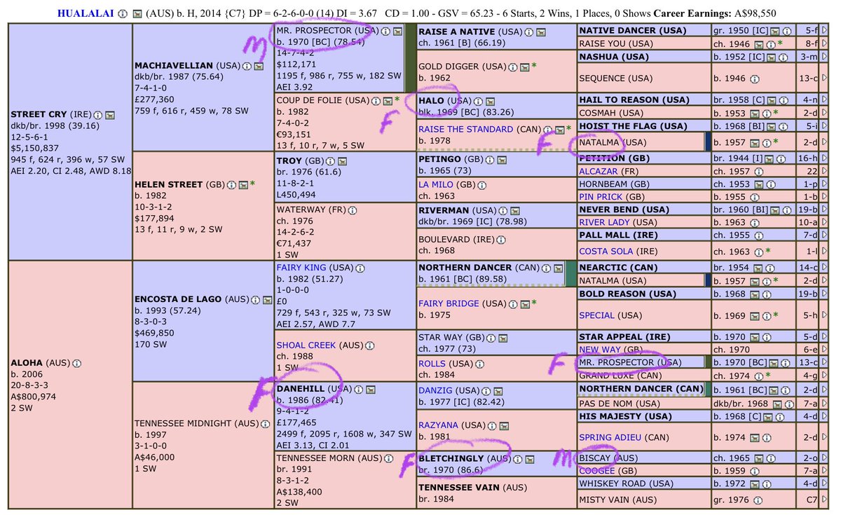 @ducatoon @SAbreeders And Hualalai is a perfect “breed to race horse” - just look how well he matches up with daughters of Sebring.

Hualalai’s pedigree is easy to gender balance breed shapers such as  Danehill, Bletchingly, Biscay, Halo, Mr Prospector and Natalma.