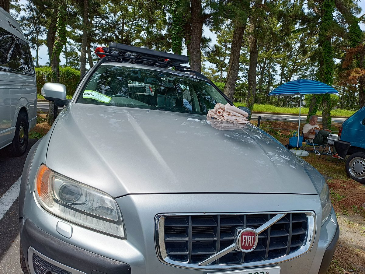 pandadf200's tweet image. ギャラリーとして参加してますよー
#パンダリーノ　#pandarino