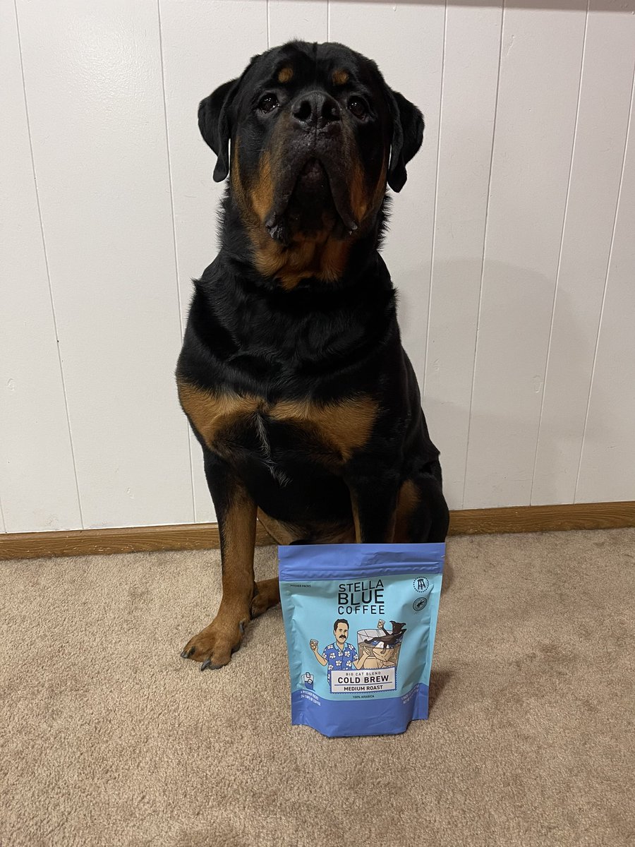 manda_castle's tweet photo. @BarstoolBigCat Odin approves of @StellaBlueCoff https://t.co/cDndVYocgY