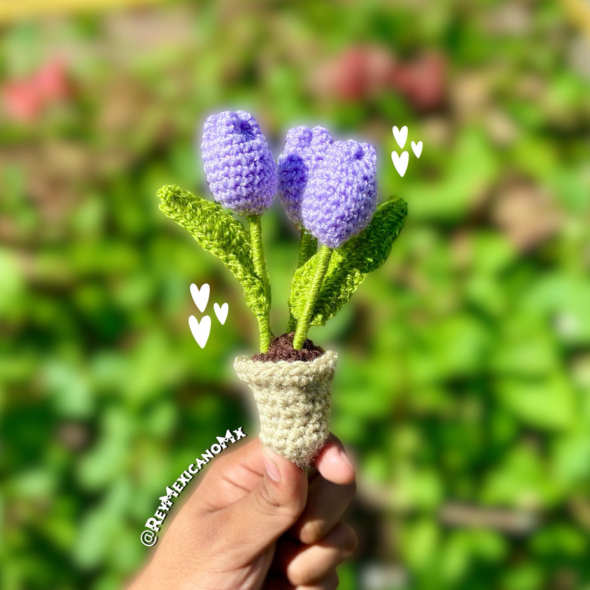 “El día que se marchiten, voy a dejar de quererte” 🤍

#ReyMexicano #CrochetFlowers #CrochetBouquet #HandmadeFlowers #CrochetArt #FloralCrafts #YarnFlowers #CrochetLove #FlowerPower #InstaCrochet #CrochetAddict #DIYFlowers #HandcraftedBouquet