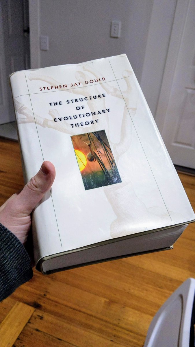 Michael Whitehead tweet media