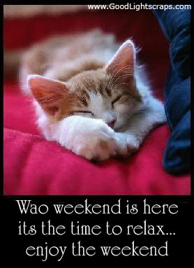 SAri19283's tweet photo. Lets get our minds off work and relax..😍
#HappyWeekendEverybody https://t.co/3VnniOypf6