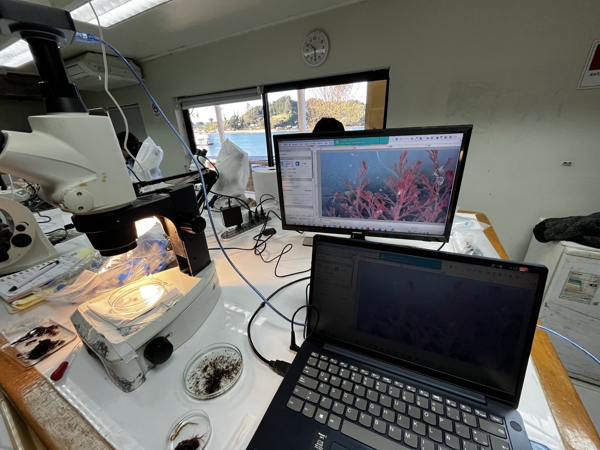AlgaLab's tweet photo. Terminando una excelente jornada de trabajo - 1er taller de especies marinas invasoras 🙌 @CongresoCsMar https://t.co/bDc35NXTbX