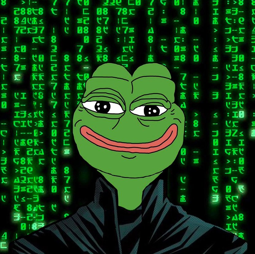 I'm trying to free your mind, Pepe. But I can only show you the door. You're the one that has to walk through it. $Pepedoge