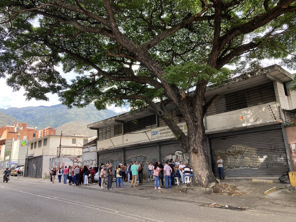 PlantadosCCS's tweet image. Está el samán mutilado de Él Cigarral. Una escena que no debería repetirse nunca más.

Y está la celebración de vecinos de Los Dos Caminos, porque el samán (+100 años), al inicio de la Av Sucre, ahora forma parte del patrimonio municipal. Una escena que debería multiplicarse.