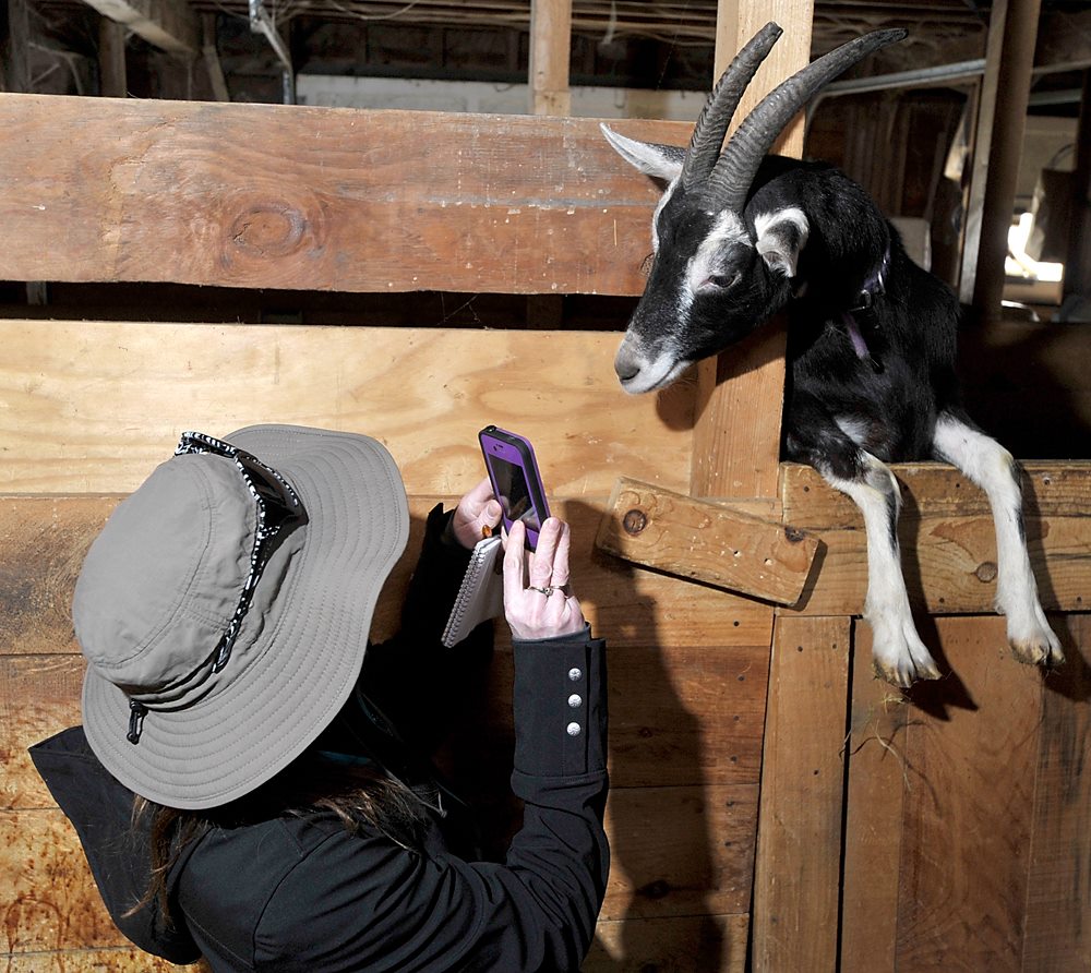 DeirdreStires's tweet image. That&apos;s a wrap after 21 years as an outdoor reporter at the @PressHerald I&apos;m so fortunate to have worked with so many creative, caring, talented artists.   Please #SupportLocalJournalism 
Photos clockwise from top left: Gordon Chibroski, Derek Davis, Ben McCanna, Tim Greenway