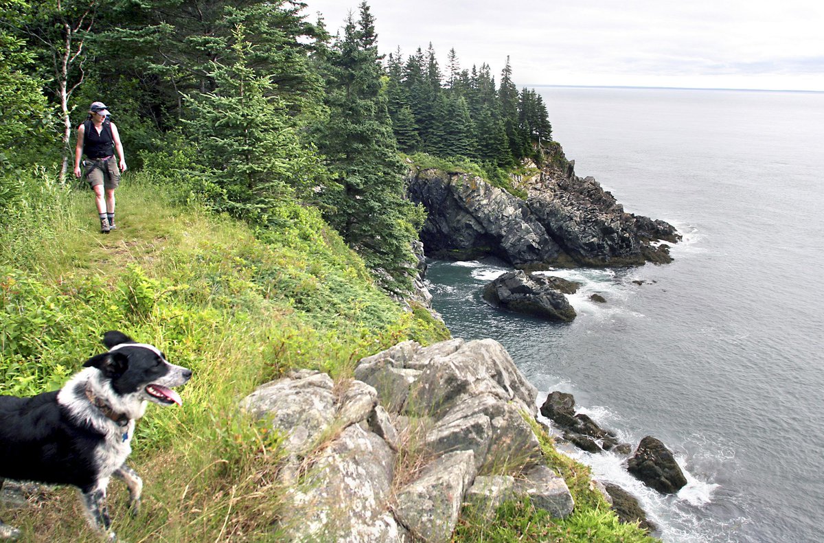 DeirdreStires's tweet image. That&apos;s a wrap after 21 years as an outdoor reporter at the @PressHerald I&apos;m so fortunate to have worked with so many creative, caring, talented artists.   Please #SupportLocalJournalism 
Photos clockwise from top left: Gordon Chibroski, Derek Davis, Ben McCanna, Tim Greenway