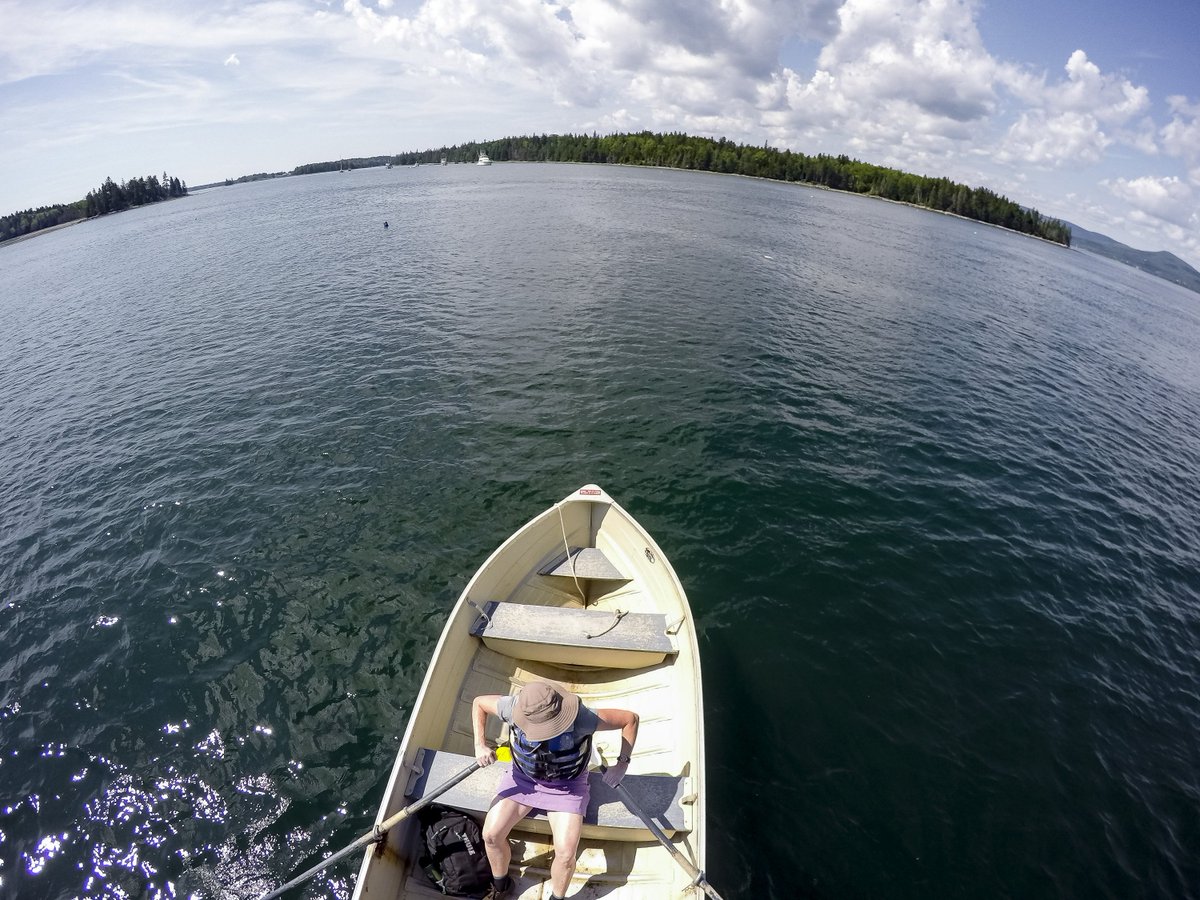 DeirdreStires's tweet image. That&apos;s a wrap after 21 years as an outdoor reporter at the @PressHerald I&apos;m so fortunate to have worked with so many creative, caring, talented artists.   Please #SupportLocalJournalism 
Photos clockwise from top left: Gordon Chibroski, Derek Davis, Ben McCanna, Tim Greenway
