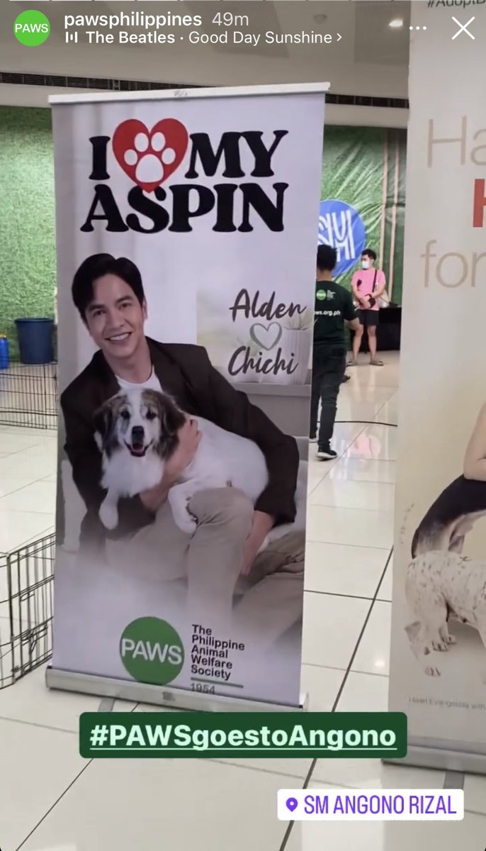 Hello Alden and queen Pachuchi 🥰

#ALDENxChichiPAWS 
#ALDENRichards 
@aldenrichards02