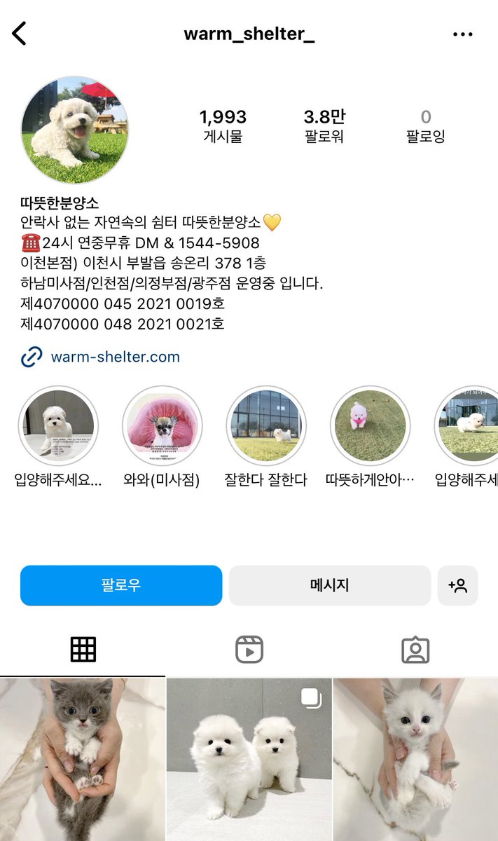 넨네 tweet media