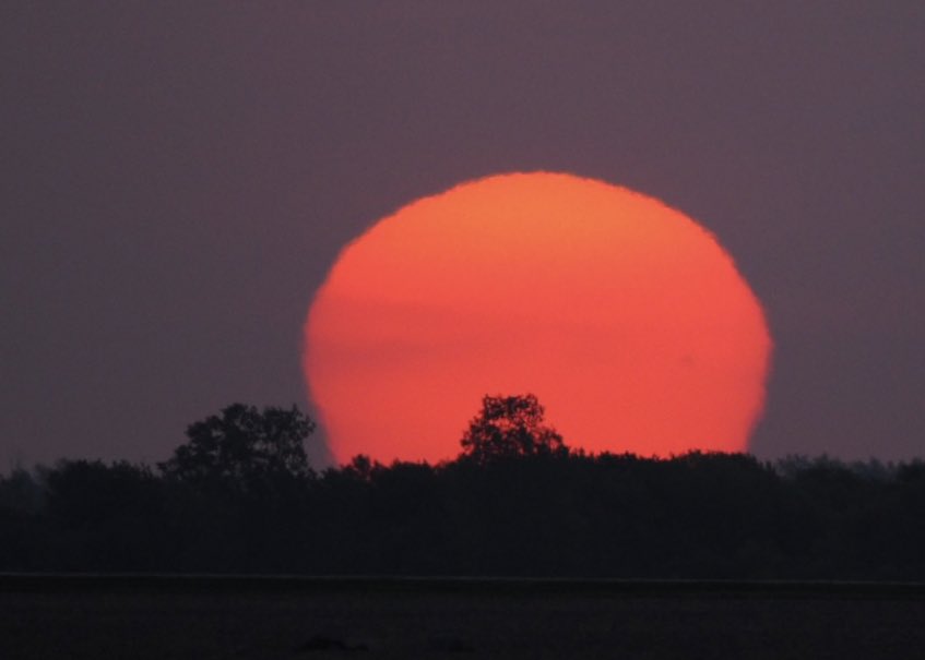Sunrise over the prairie in Graceville, Minnesota. Photos from @carolbauer320. #MNwx