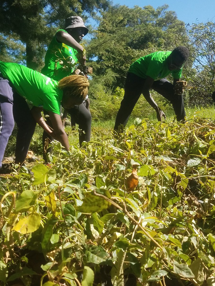 I was a winner from the moment I made a decision to be in Narok for 100,000trees @yfga_kenya mega project,😇its done 
I am a champion 💪
#Narok100000trees 
#jazamiti 
#15billiontrees 
@gitdubai 
#climateactionNow 
#sustainabledevelopmentgoals 
#Futureinamilliontrees