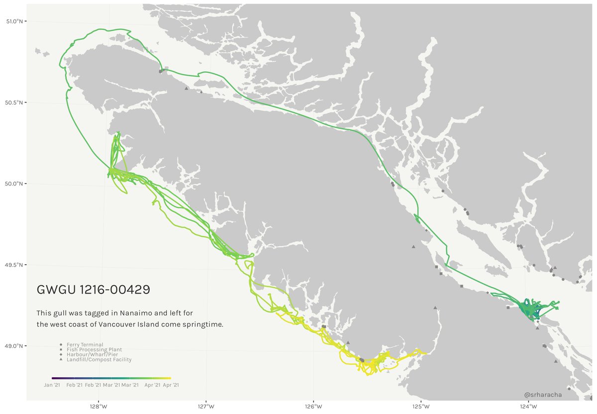 srharacha's tweet image. I&apos;m quite proud of the code trickery I came up with to make these gradient lines, and I hope this resource is helpful to some of you #TrackingNotSlacking folks out there! I&apos;d love to see some maps if anyone makes them!