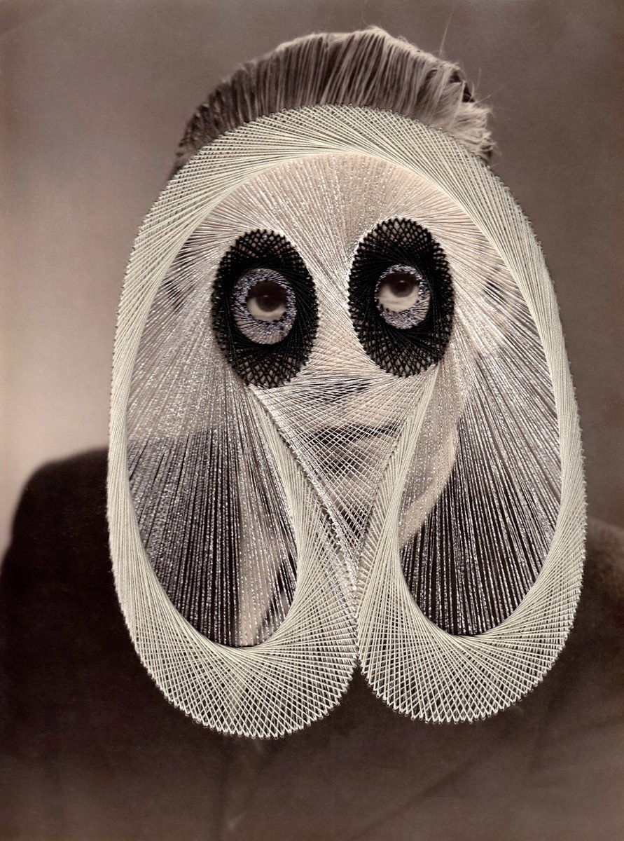 Anna Condo tweet media