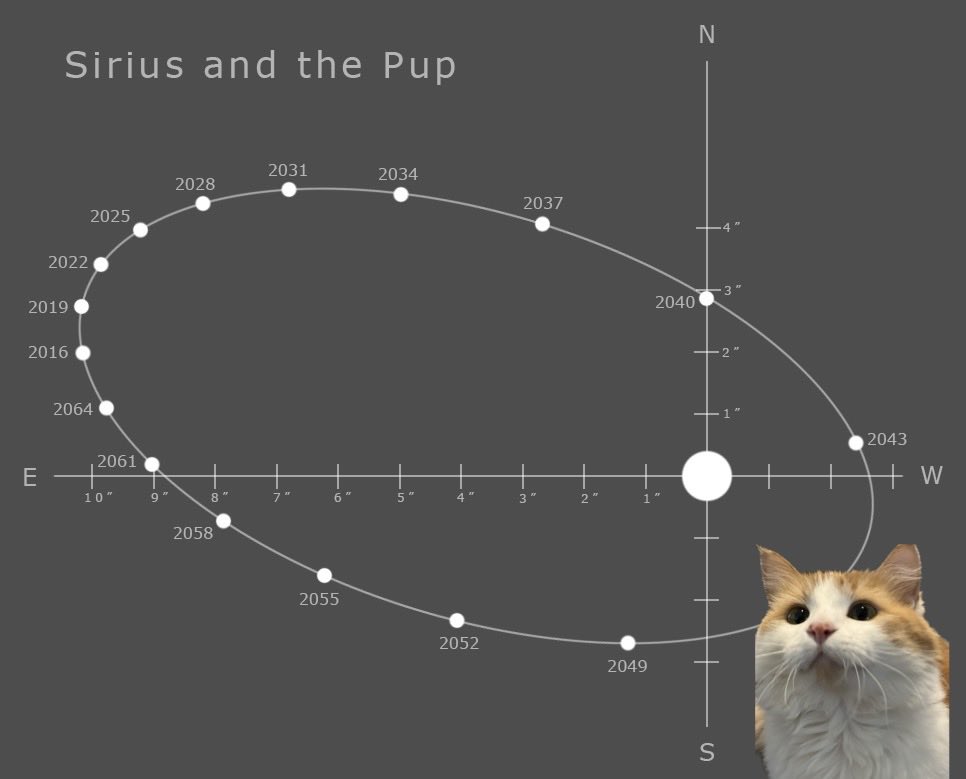 On #Caturday, we see @bunsenbernerbmd’s inquisitive Ginger studying the Dog Star, Sirius and its white dwarf companion known as the ‘Pup.’ Do these two remind of you of anybody, Ginger? 😜