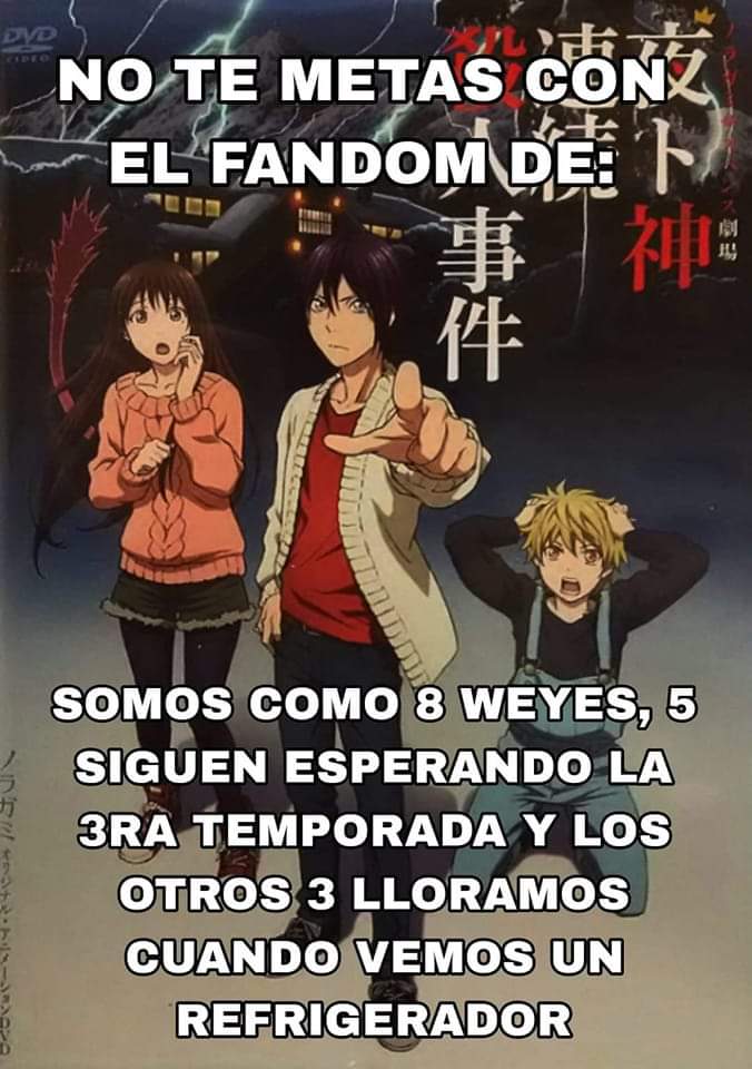 Lenuko-san en Argentina🪻レナさん🐈💚🎻 tweet media