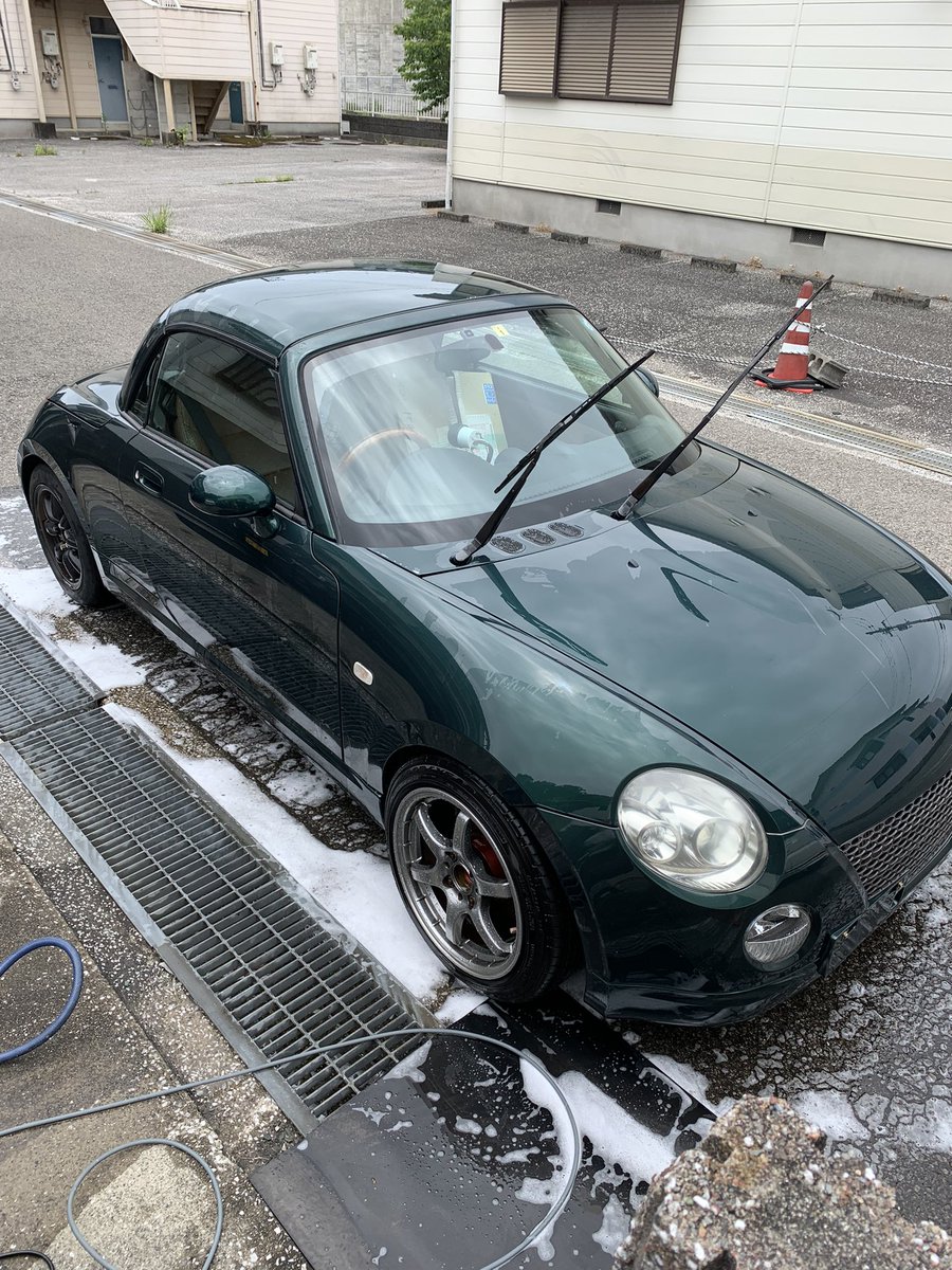 蜘蛛の巣だらけでみっともない気とりあえず洗車