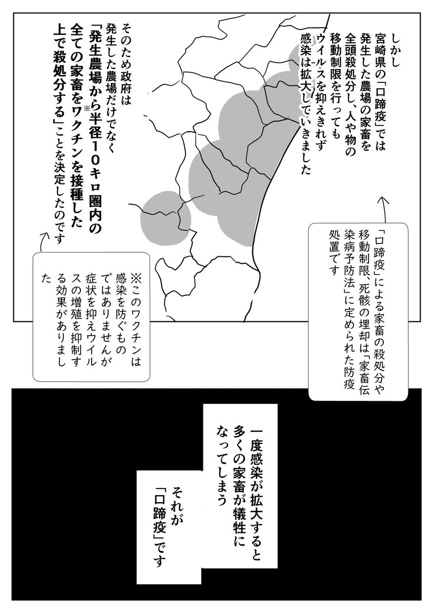 『口蹄疫について』(1/3) 今月、韓国で口蹄疫が発生したことを受けて 2010年の宮崎県口蹄疫について勉強会で聞いた話や読んだ記録をもとに少し描いてみました。 不十分な箇所が多いですが大目に見ていただけるとありがたいです ⚠️殺処分についても描いているので苦手な方は注意してください⚠️