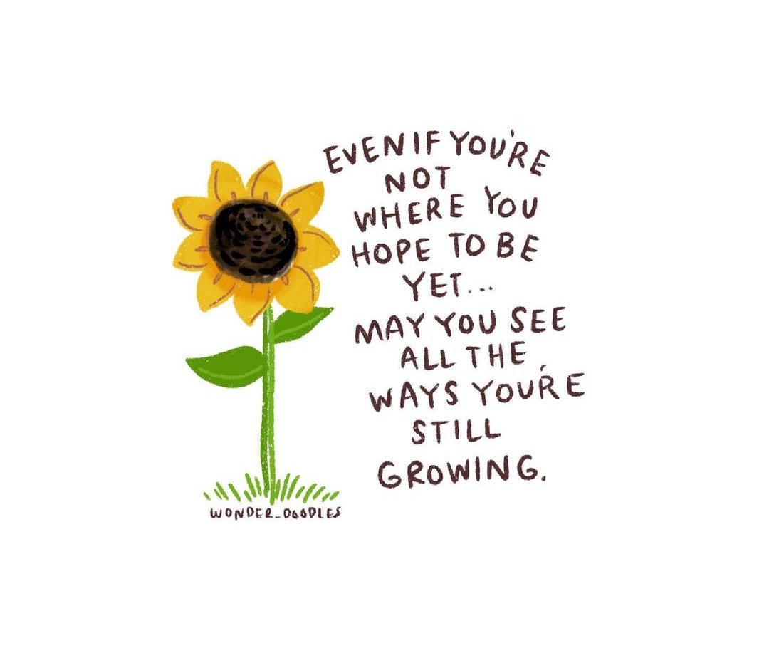 Have a wonderful day