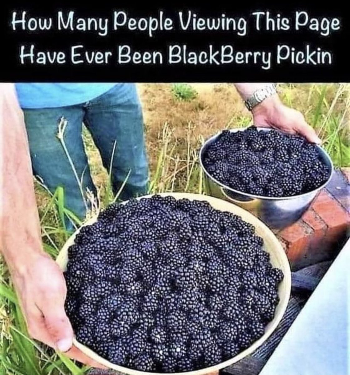this is important data rt if you've been blackberry pickin