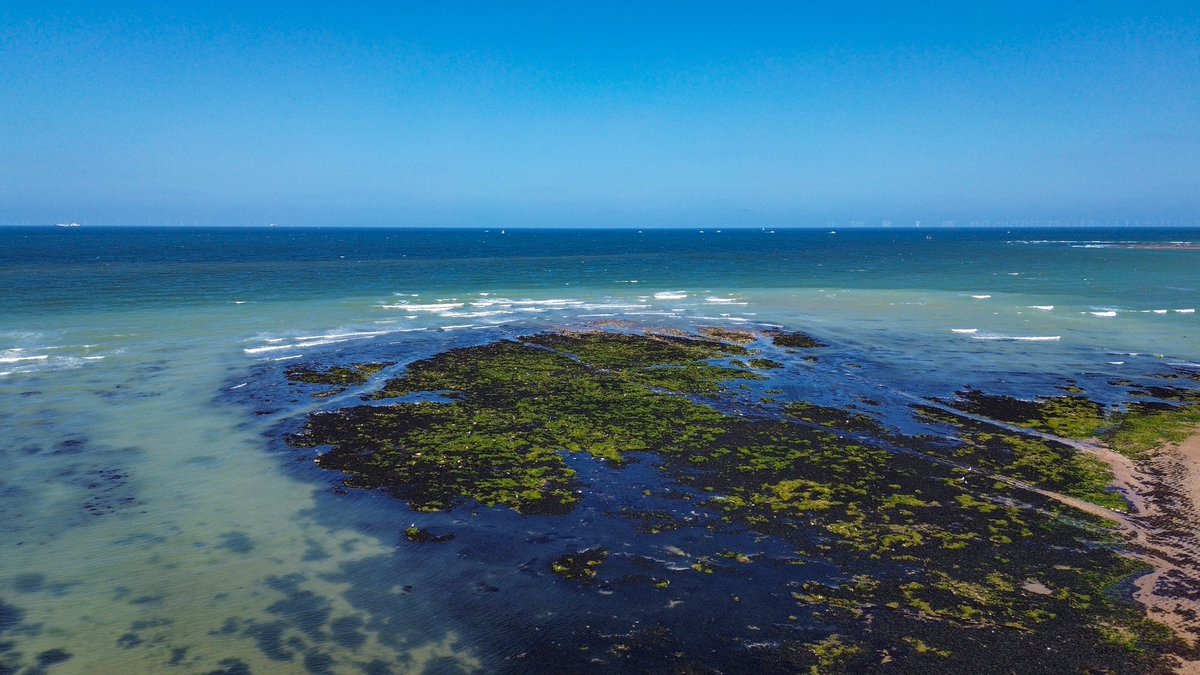 Views of Walpole Bay never disappoint🌊📸
.
#walpolebay #walpolebaytidalpool #thanet #photography #instaphoto #explore #tidalpool #bankholiday #kentonline #bbcsoutheast #beach #coast #kent #margate #discover #photographylovers #photographyeveryday #djimini3 #ThePhotoHour #drone