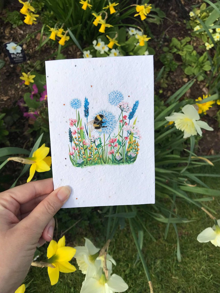 yasminjonescard's tweet image. Plantable wildflower seed cards great for any garden lover. etsy.com/uk/shop/Yasmin… #UKGiftHour #gardenlover #wildflowers #fathersdaygiftideas #bees #growyourown