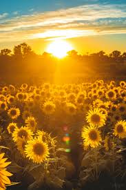 What a beautiful day, sunshine can have several benefits for people living with dementia. Improved mood, better sleep, increased vitamin D, enhanced cognitive function, & enhanced socialisation.

#carehomesuk #education #personhood #dementia #Alzheimers #sunshine