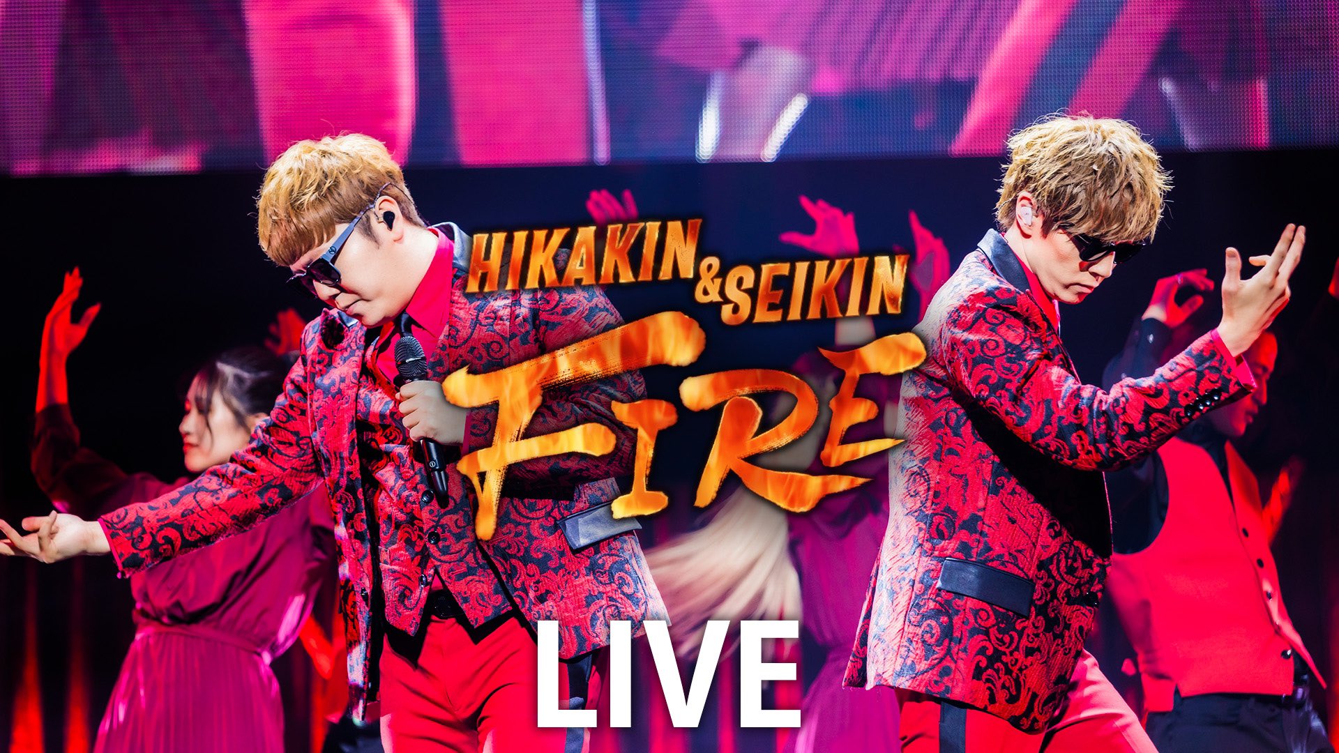 HIKAKIN&SEIKIN U-FES TOUR 2019 BIGフライトタグ HIKAKIN&SEIKIN U-FES TOUR 2019 BIGフライトタグ（フライトタグ