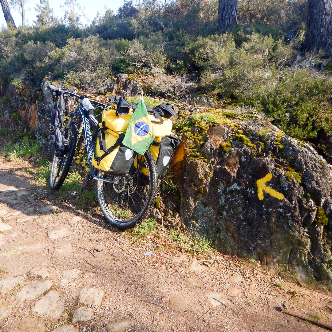 VISITA WWW BICIGRINO COM 
Explorando los caminos de Santiago en bicicleta! 🚲 ¡Prepárate para aventurarte en un paisaje increíble con el alquiler de bicicletas de montaña y cicloturismo! 🤩 ¡El viaje promete ser algo inolvidable! #MTBCyclotourism #RideOnSantiagoPaths