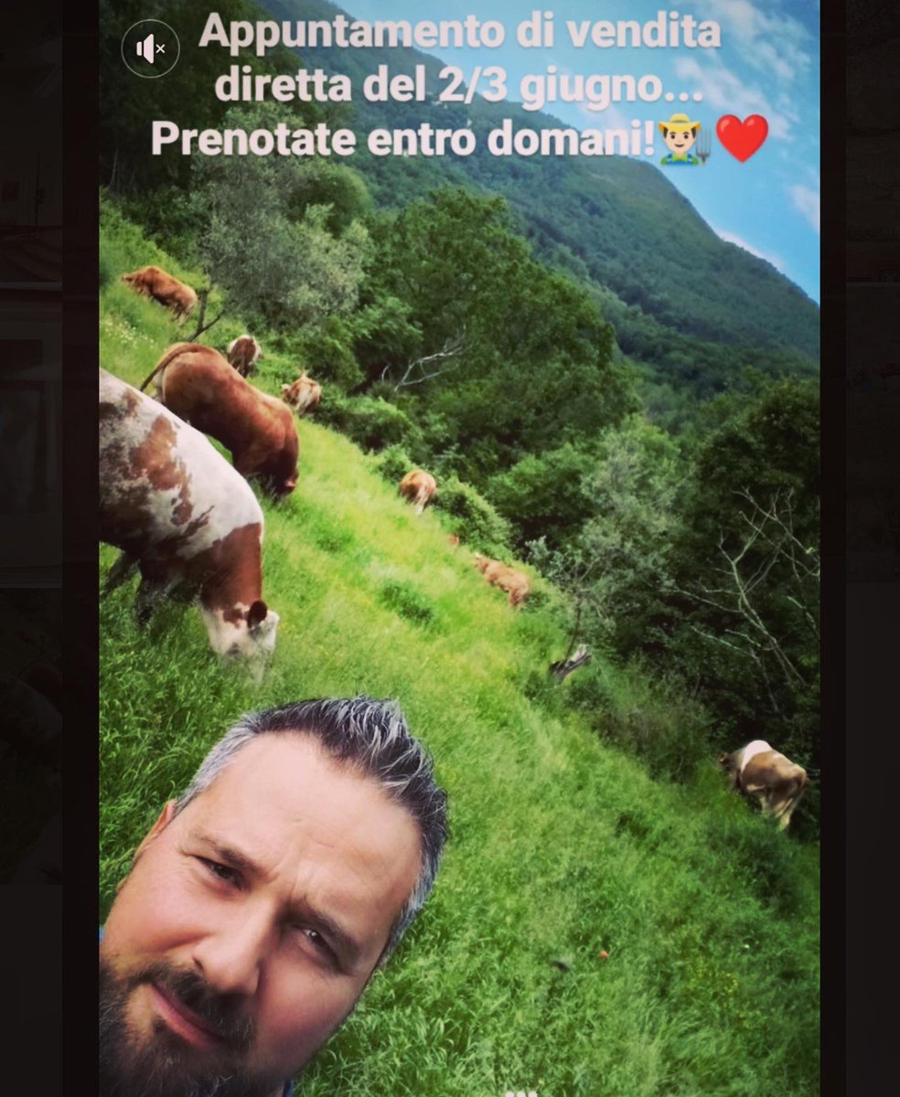valledelsasso's tweet photo. Voglia di griglia? Di qualche salume strepitoso con baccelli e verdure? Di carne fresca e genuina con un calice di vino? Avete tempo fino a stasera per ordinare: https://t.co/OagRASn4jj) #buonadomenica!👩🏻🌾🥩🍷 #toscana #tuscany #valdisieve #giugno #june #estate #summer #cibo #food https://t.co/oAcitupCQr