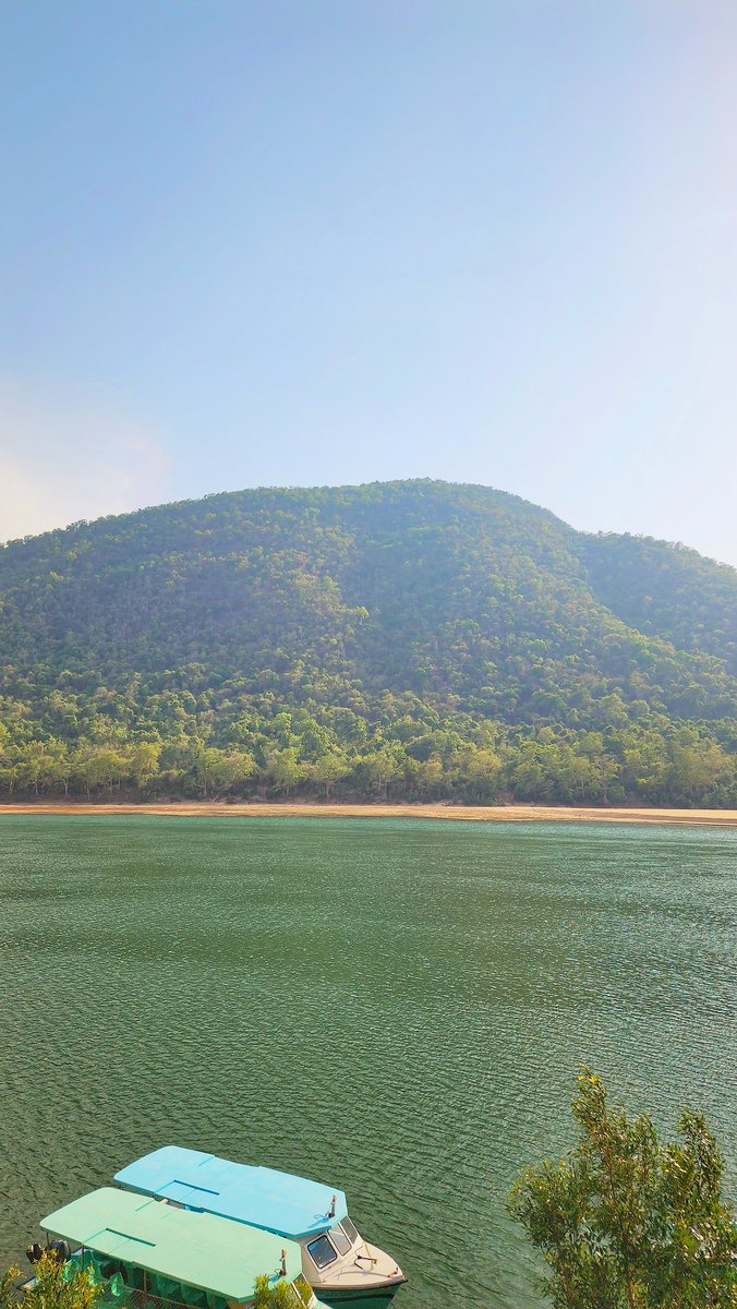 mrbarik911's tweet image. Nature is the purest portal to inner peace. 
#Tikarpada #Satakosia
#NaturePhotography