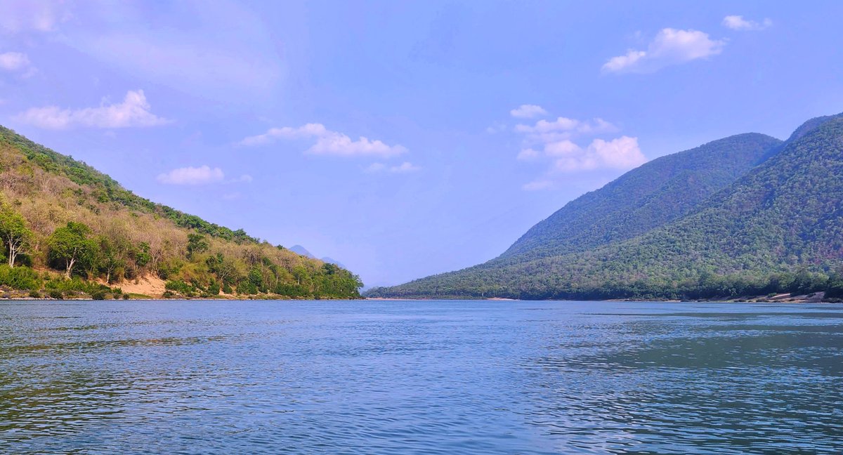 mrbarik911's tweet image. Nature is the purest portal to inner peace. 
#Tikarpada #Satakosia
#NaturePhotography