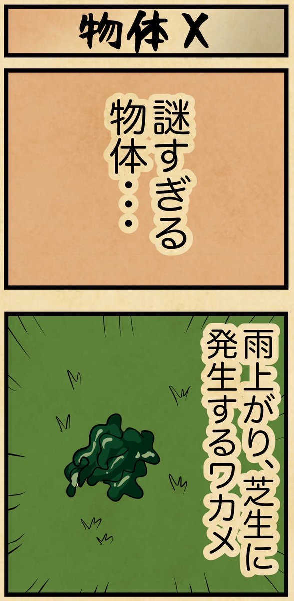 みんなも見えるでござる?