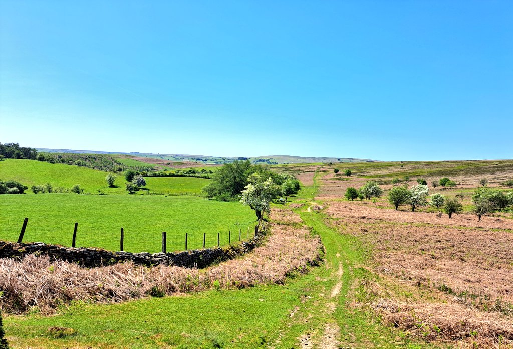 Dan Lawrence 󠁧󠁢󠁷󠁬󠁳󠁿🏴󠁧󠁢󠁷󠁬󠁳󠁿 tweet media