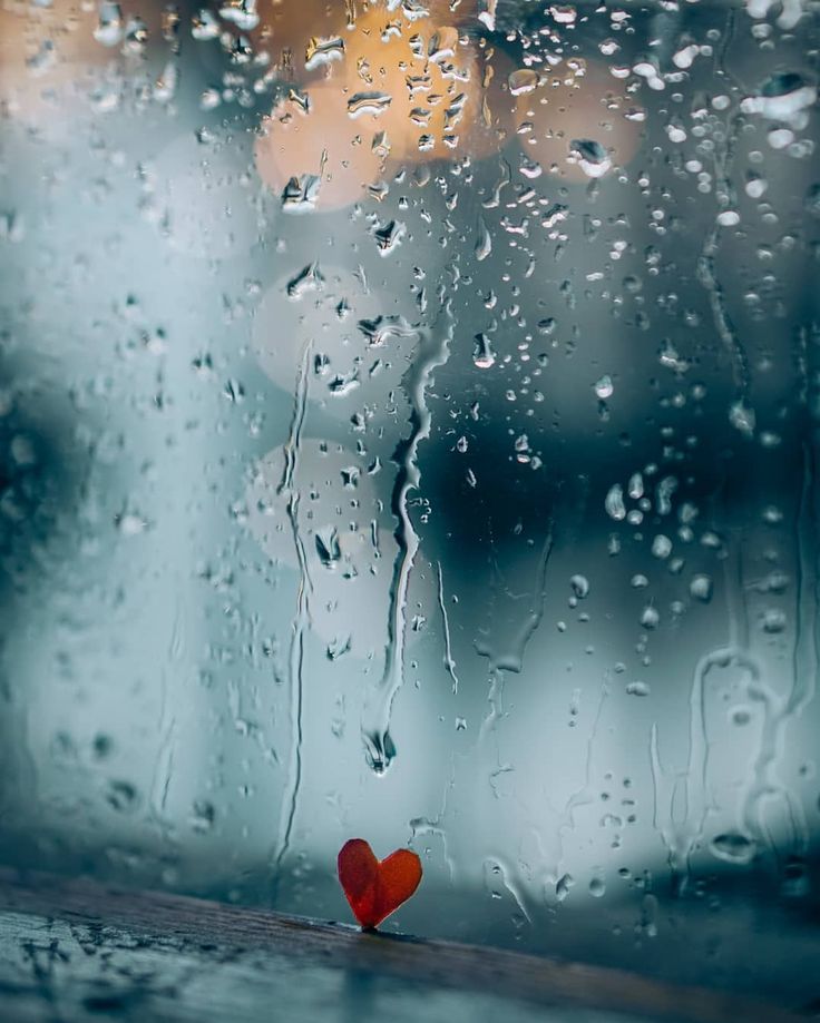 죽음보다 더 강한 것은 이성이 아니라, 사랑이다. - 토마스 만