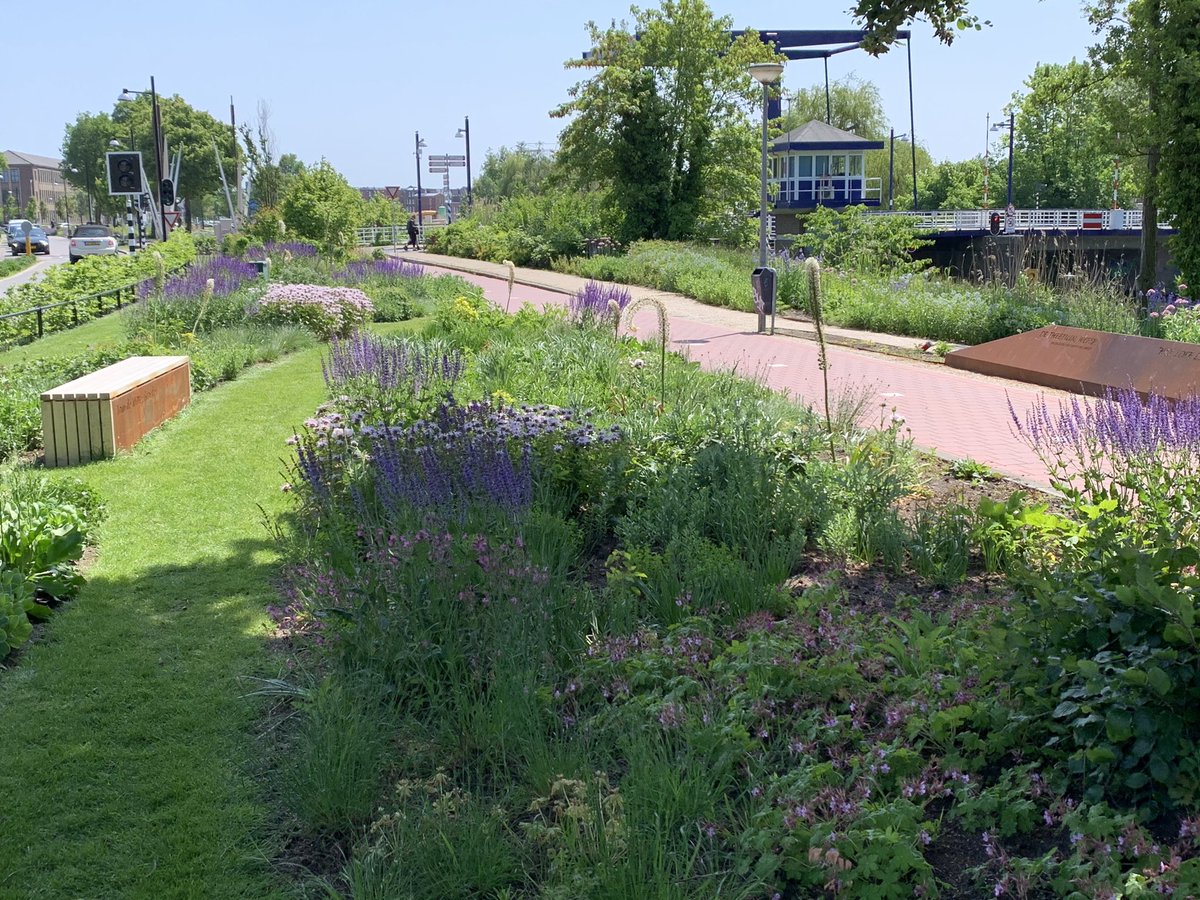 #parkofdutchdreams #doetinchem parkofdutchdreams.com