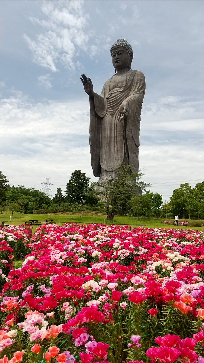 牛久大仏とゴテチャ(23.5.28)
牛久大仏に行ったらゴテチャの花が鮮やかに咲いていました。紫陽花はまだ咲いていませんでした。
#牛久大仏　#ゴテチャ　#あじさい　
#TheGreatBuddhaOfUshiku #Gotecha #FarewellToSpring #Nekobach