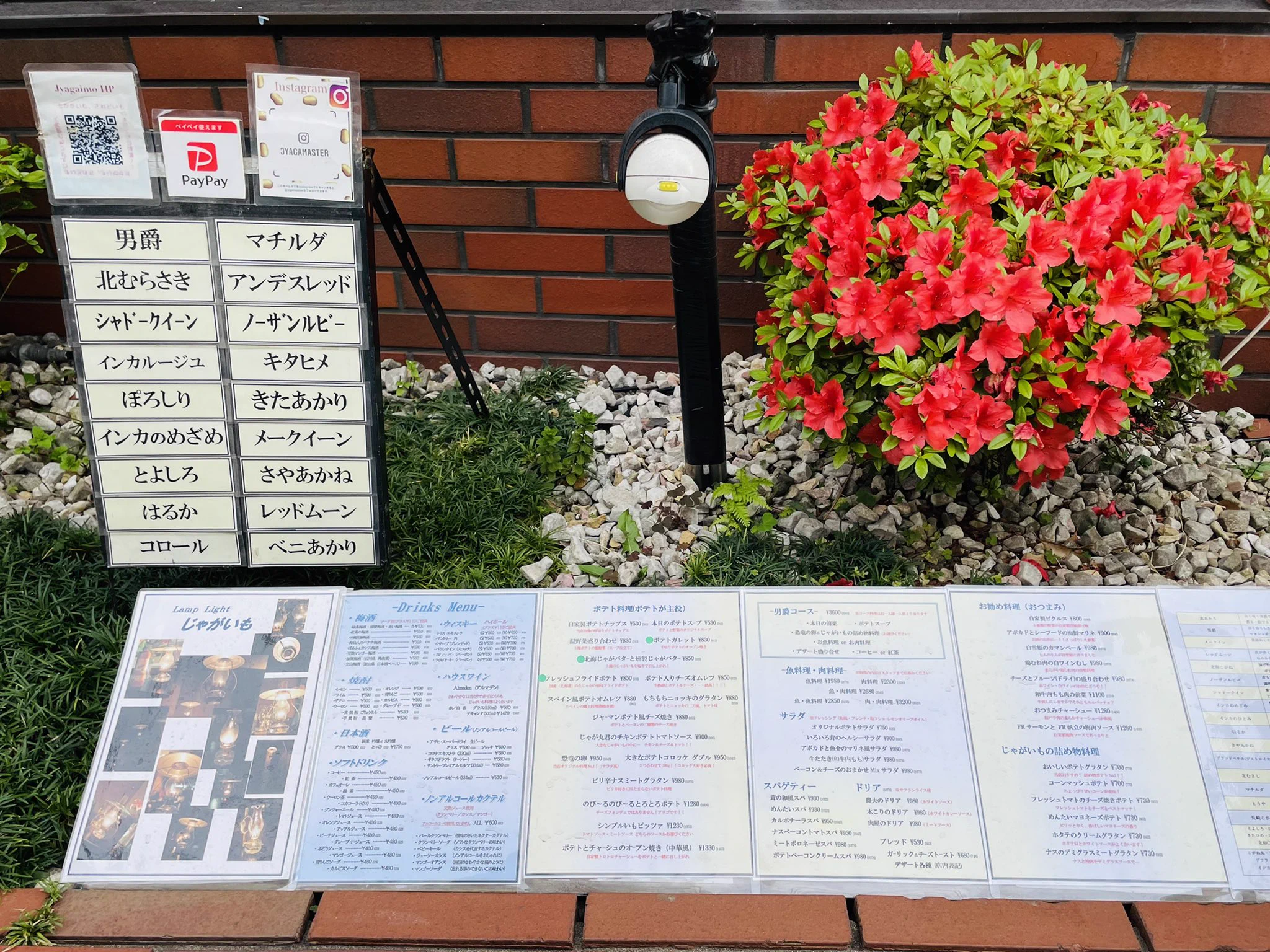 ジャガスキー達はぜひ行くべし！じゃがいもまみれのポテト料理専門店『じゃがいも』。