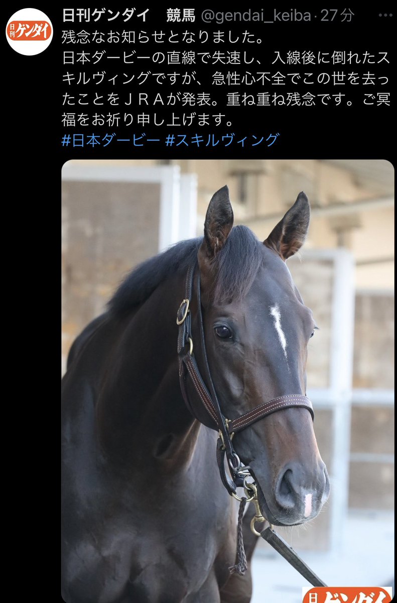 本日の競馬「日本ダービー」で僅か3歳2ヶ月のスキルヴィングが死亡。
「ありがとう」「よく頑張った」「ゆっくり休んでね」など、散々ギャンブルの為に利用した挙句に殺した命への後悔や自分達が馬を使って賭博をする事への懺悔の気持ちなど全く感じられないコメントの数々が
twitter.com/gendai_keiba/s…