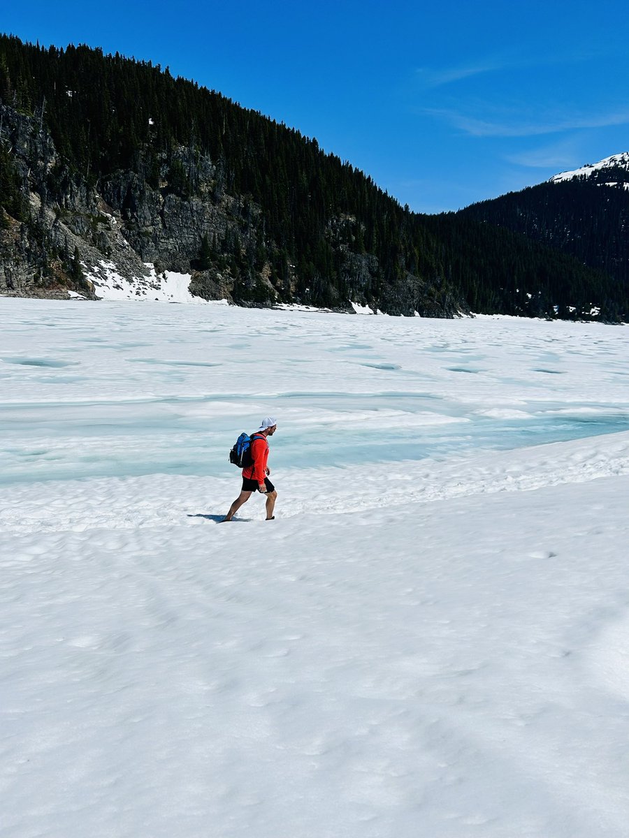 Greg Bobolo tweet media