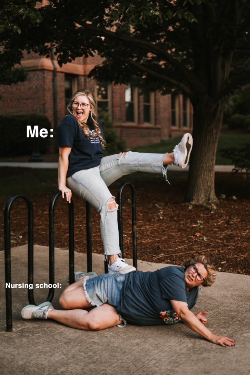 daisy may tweet media