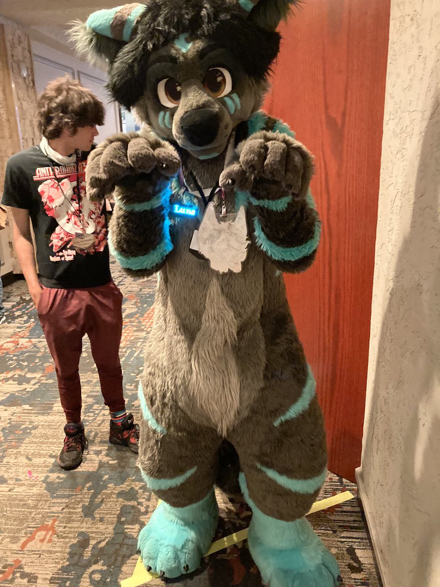 Day 2 of #Anthrohio 2023. Meeting new floofs every day!
Tag others if you know them.

@Cali_Collie @MaizMaize @Zippityfox  @EclipseDMWolf