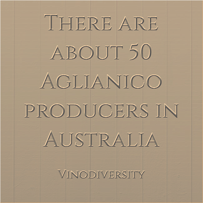 See producers of Aglianico wine variety in Australia bit.ly/39dmfMG