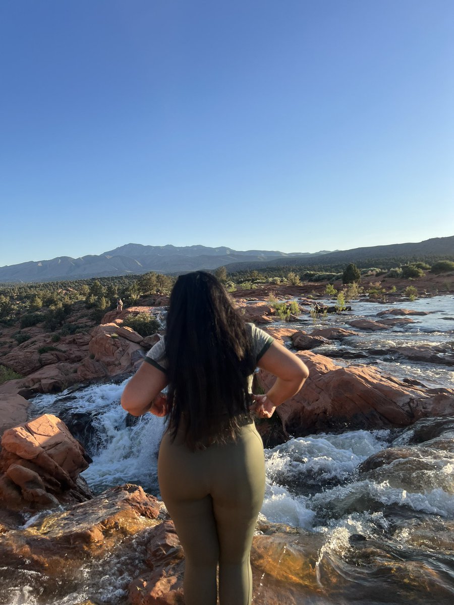 OnePieceDej tweet media