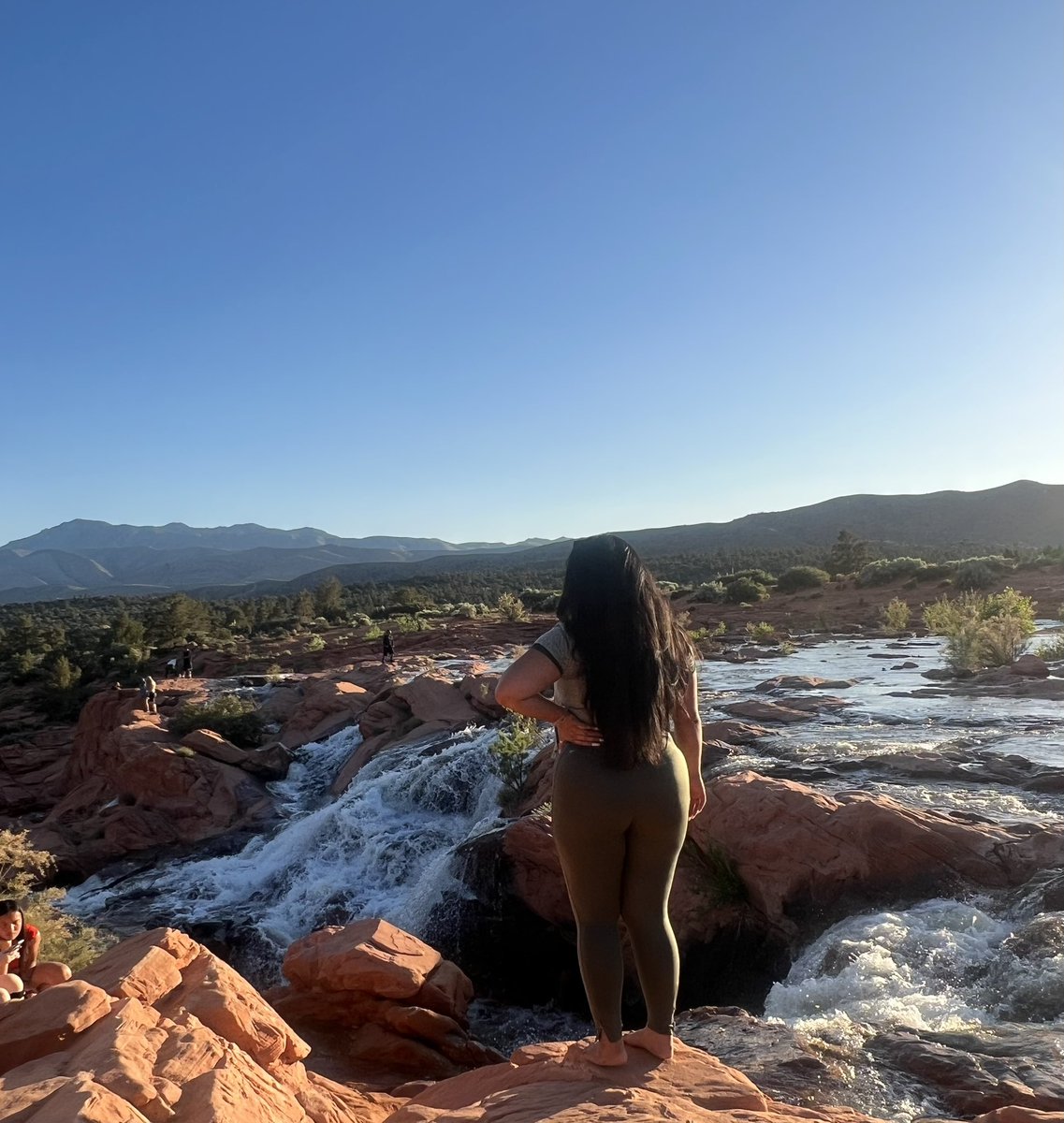 OnePieceDej tweet media