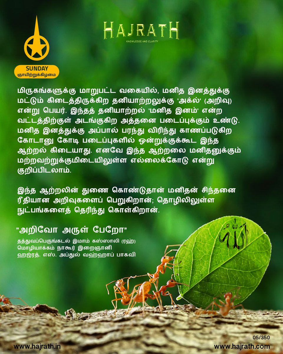 Hajrathngr's tweet photo. 07 Dhul-Qi'dah Month 1444 - "அறிவோ அருள் பேறோ"
Quotes from Hajrath Books.
தத்துவப்பெருங்கடல் இமாம் கஸ்ஸாலி (ரஹ்) மொழியாக்கம்
நாகூர் இறைஞானி ஹஜ்ரத். எஸ். அப்துல் வஹ்ஹாப் பாகவி
#sufi #nagore #tamilbooks #sufiquotes #hajrath #ihyaulumuddin #hajrathpost https://t.co/gT6SYJMZTf