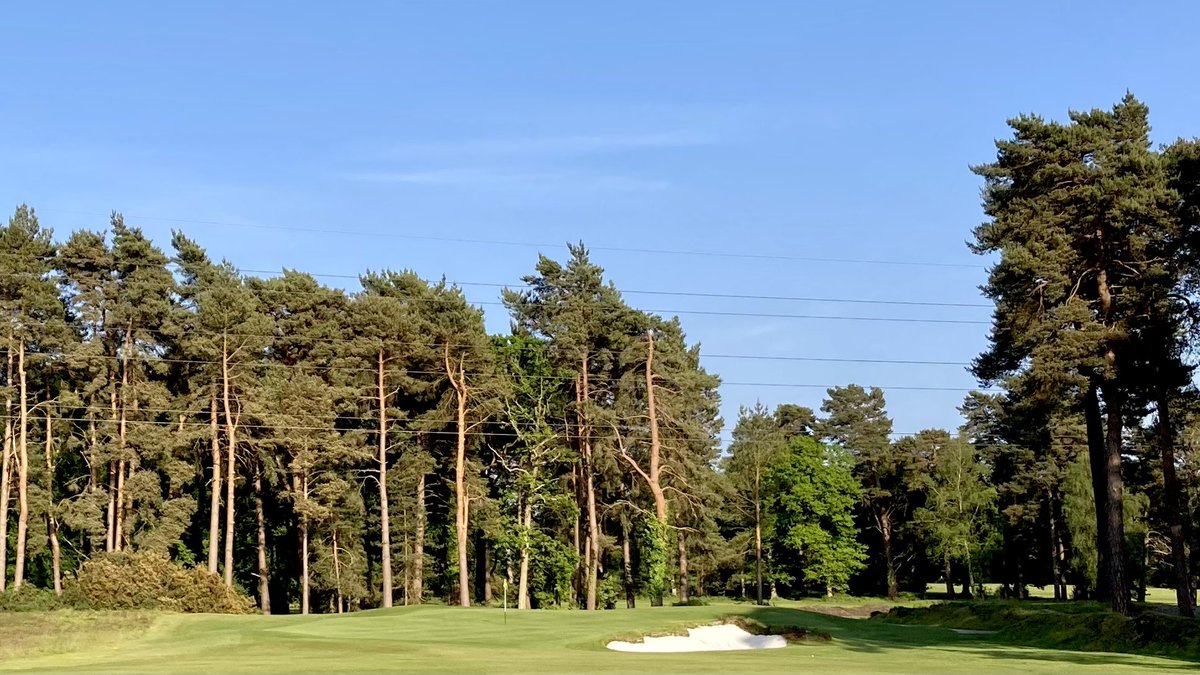 Joe_Neale1's tweet photo. Fantastic day of golf yesterday at Blackmoor. It’s always a pleasure to experience the work of Harry Colt at his best and the project to restore some Colt shapes and artistry to the bunkers is making an excellent golf course even better.
@Blackmoorgolf @LOBBandPARTNERS https://t.co/P8CEfh1z65